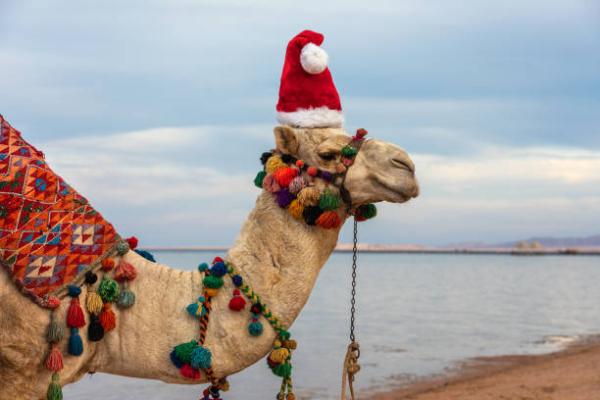 How to enjoy Christmas in Egypt?