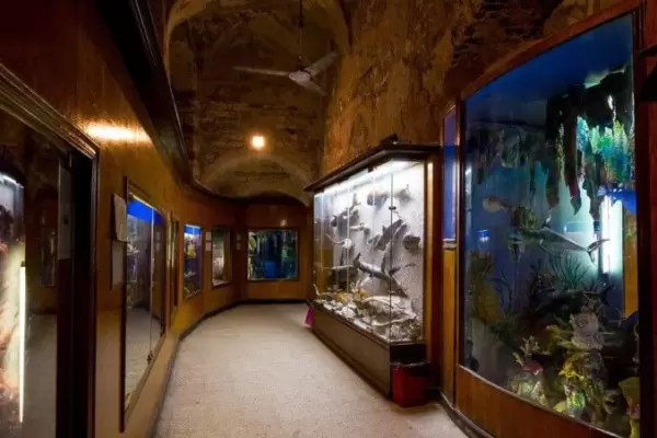 Alexandria Aquarium Museum