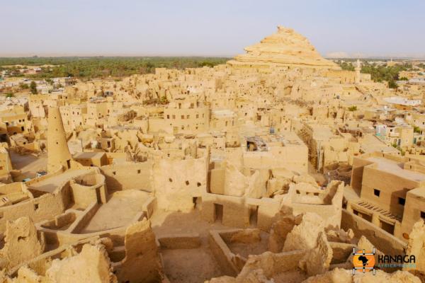 Exploring the Treasures of Egypt's Western Desert