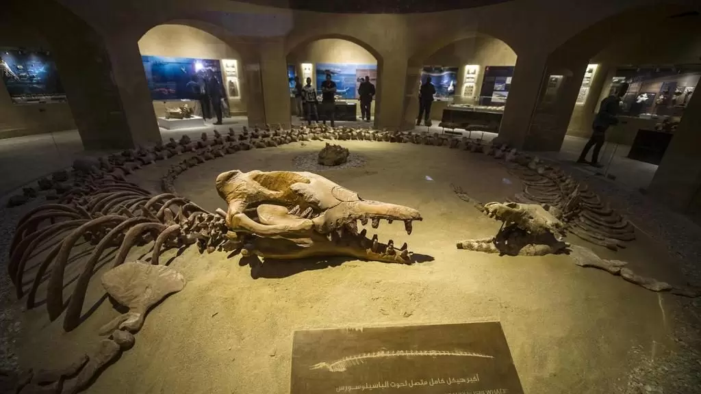 geological-museum-cairo-1679300587eB6ue