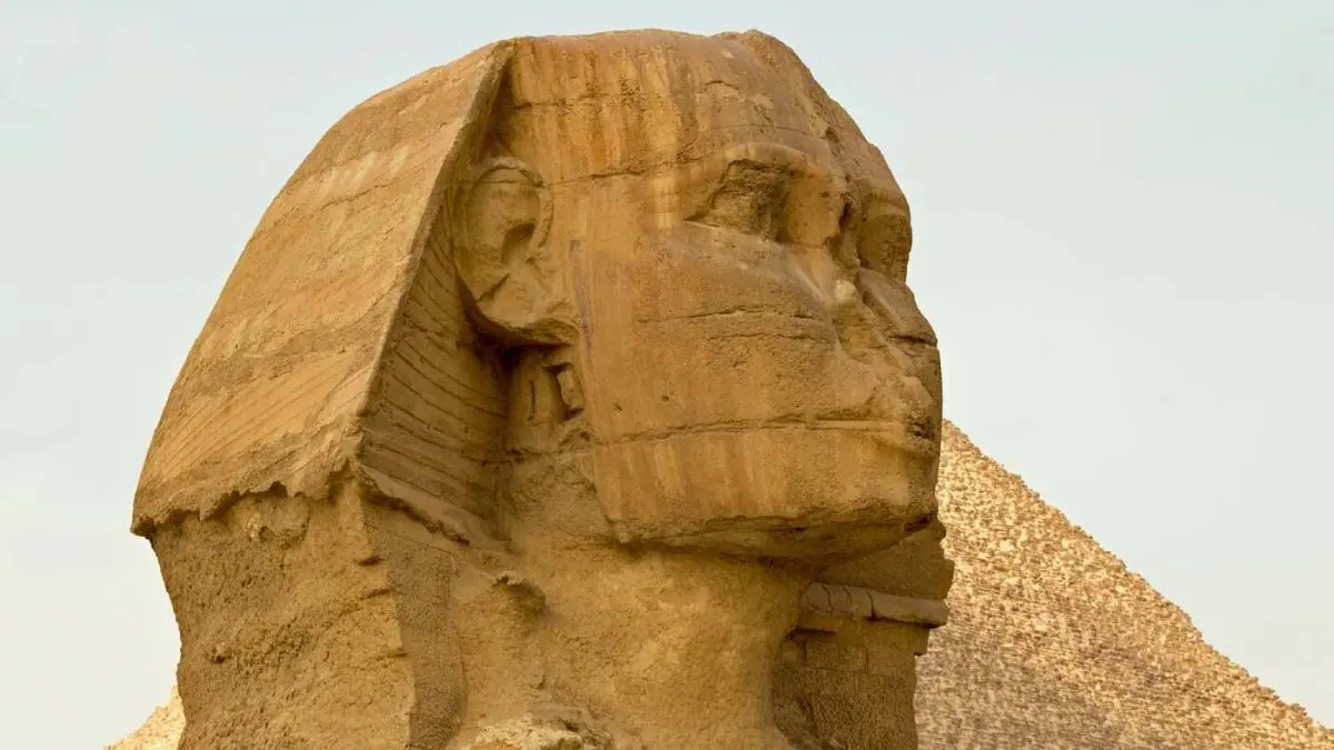 sphinx-lose-nose-1676361493tgxTp-1