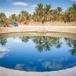 4 Nights 5 Days Siwa & Baharia & White Desert